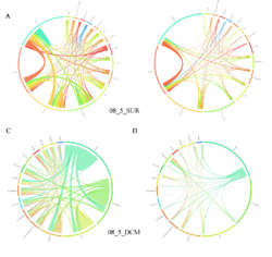 Fraction- and layer-wise circos plots